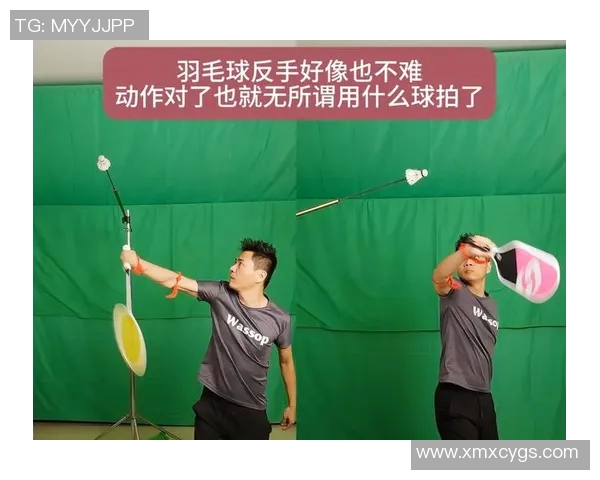 羽毛球比赛技术动作解析与训练技巧提升全面指南