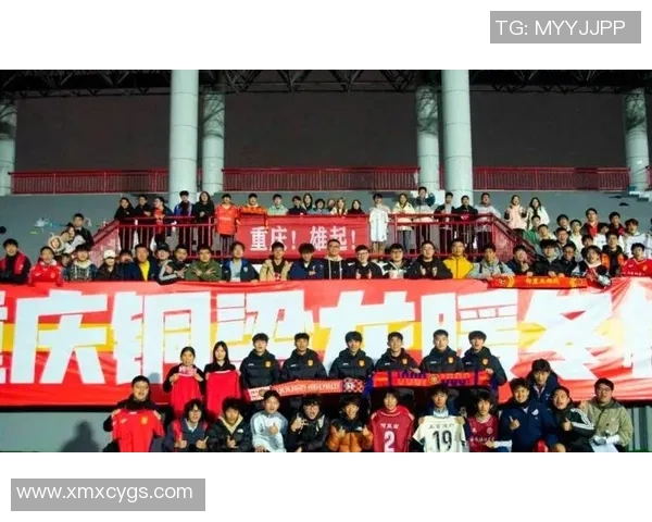 球迷假票事件调查揭示票务监管漏洞引发社会广泛关注